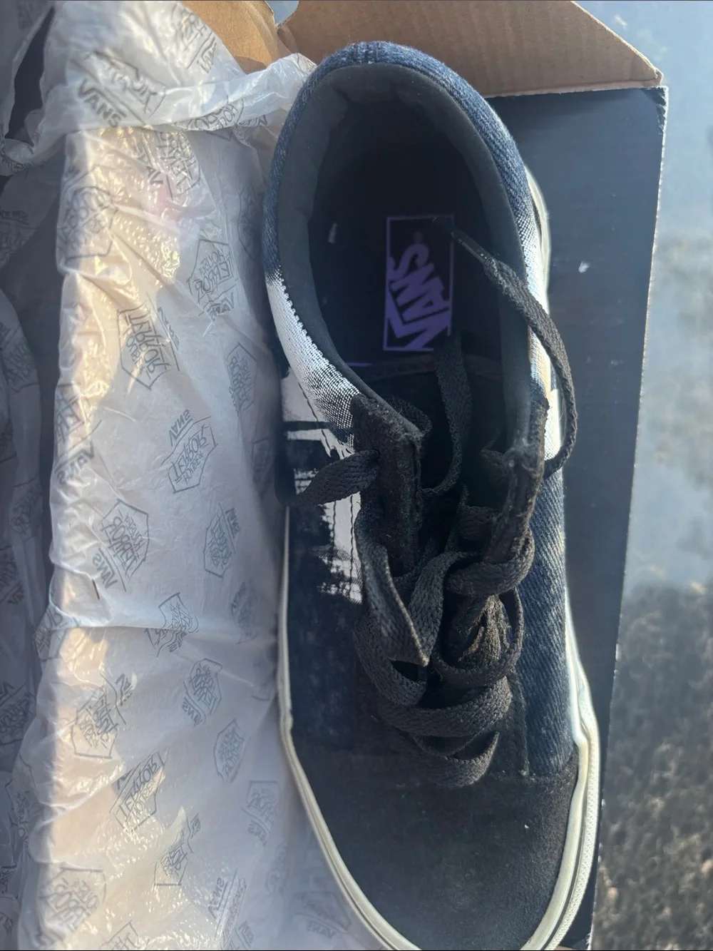 House of terror vans